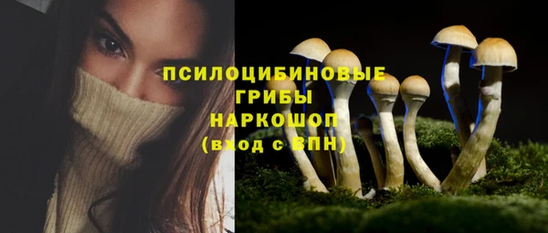 стафф Гусь-Хрустальный