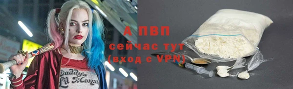 кокс Гусев