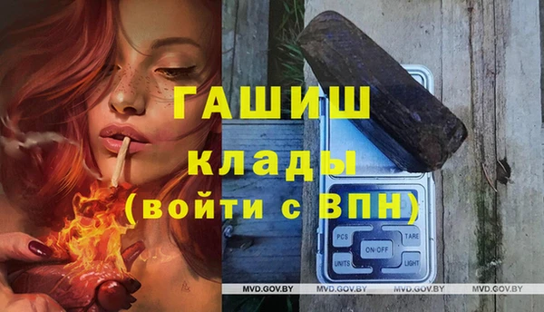 кокс Гусев