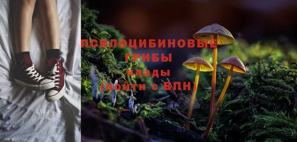 кристаллы Гусиноозёрск