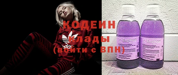 кокс Гусев