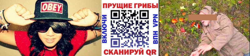 Галлюциногенные грибы GOLDEN TEACHER  наркота  Добрянка 