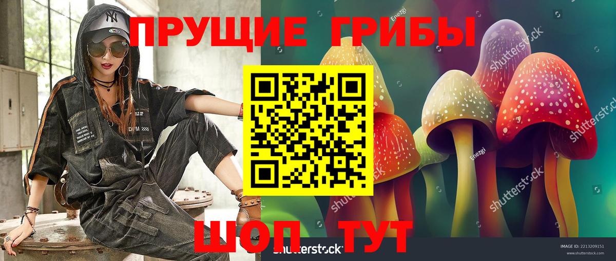Галлюциногенные грибы Psilocybine cubensis  Вход с VPN  Добрянка 
